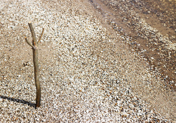 small pebbles with rounded stones close-up for background