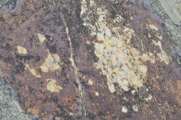 Mixed Color Stone Texture 