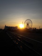 ferris wheel at night