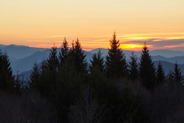 Trees and silhouettes of mountains and in a sunrise with scenic view