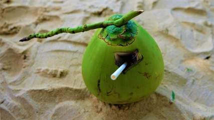 Green and fresh coconut with a straw on the sand.