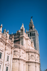 Fototapeta premium catedral de sevilla 