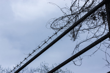 Metal barbed wire against a blue sky background: imprisonment and slavery
