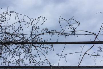 Metal barbed wire against a blue sky background: imprisonment and slavery