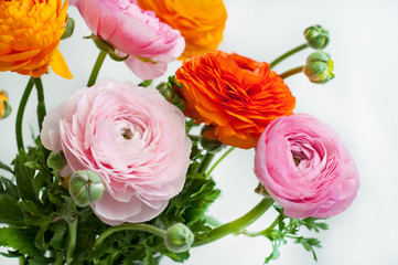 Beautiful bouquet of ranunculus flowers of orange and pink color on a white background. Flowers and buds