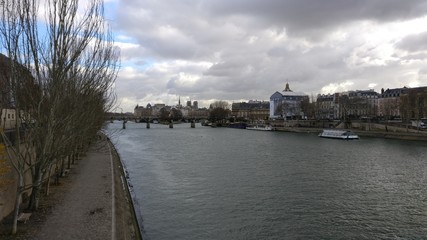 Obraz premium Seine river in Paris