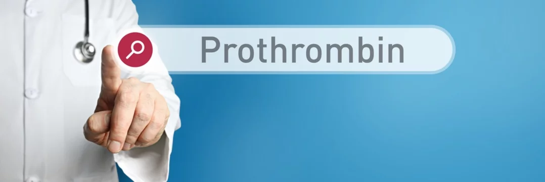 Prothrombin. Doctor in smock points with his finger to a search box. The term Prothrombin is in focus. Symbol for illness, health, medicine