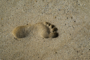 Footprint