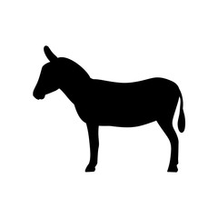  Donkey isolated on white background. Farm animals collection.