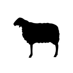 Vector illustration of sheep. Farm animals collection. Silhouette.