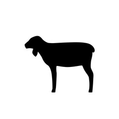 Lamb vector illustration. Farm animals collection. Silhouette.