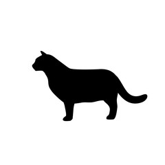 Cat vector illustration. Farm animals collection. Pets. Silhouette.