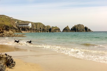 mother ivy's bay cornwall england united kingdom covid19 lockdown may 4th 2020