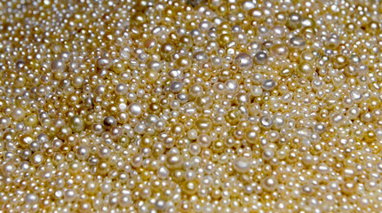Texture natural White Pearls, Close-up, jewelry, luxury, pile, pearls
