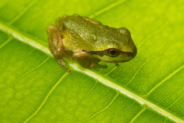 Stay calm during pandemic