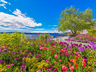 Ferien Sommerzeit am schönen Bodensee mit bunten Blumen am Seeufer