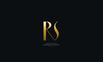 RS SR R S Letter Logo Design Icon Vector Symbol