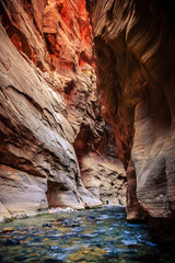 The Majestic Narrows of Zion National Park, Utah