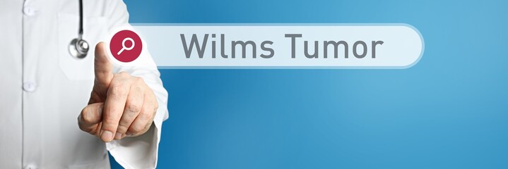 Wilms Tumor. Doctor in smock points with his finger to a search box. The term Wilms Tumor is in focus. Symbol for illness, health, medicine