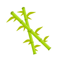 Bamboo with leaves. Green stem of plant. Asian Two Stick and branch. Ecology and freshness. Cartoon flat illustration