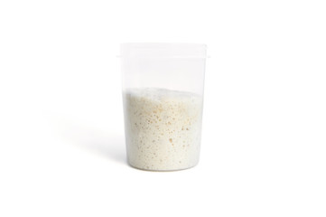 breeding Italian sourdough Levito Madre, sourdough condition before first feeding