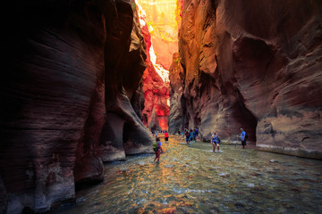 The Majestic Narrows of Zion National Park, Utah