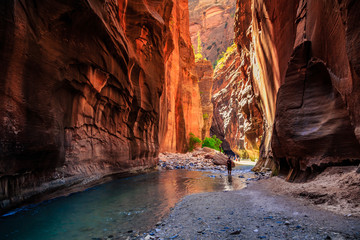 The Majestic Narrows of Zion National Park, Utah