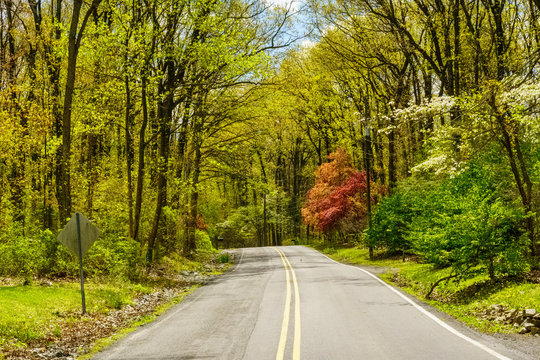 New Holland, PA / USA - May 4, 2020: A country road in the springtime in rural Lancaster Count, Pennsylvania.