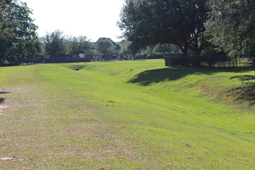 lawn in the park
