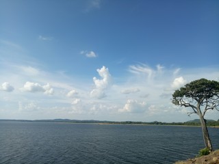 Fototapeta na wymiar The lake in Sri Lanka