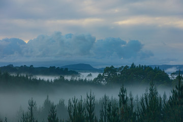 Fototapeta na wymiar Early morning in Bay of Plenty 