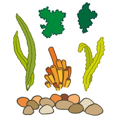 Seaweed sticker set on white isolated backdrop. Water plants for invitation or gift card, pet shop logo, diving club, bath tile. Phone case or cloth print art. Doodle style stock vector illustration