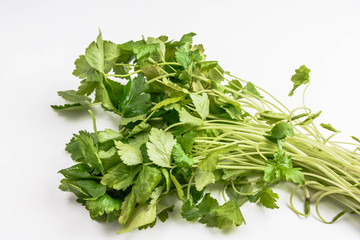 香味野菜　三つ葉