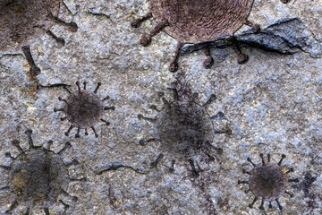 Close up view on granite and rock surfaces with engraved virus fossils