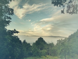 Scenic View Of Forest Against Sky During Foggy Weather