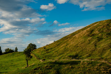 Bay of Plenty farmland, New Zealand 
