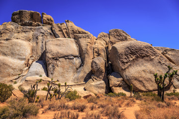 Rocks and Landscapes of Joshua Tree, Joshua Tree National Park, California