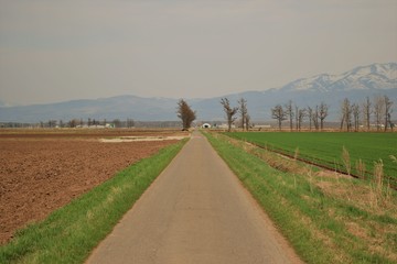 どこまでも続く農道