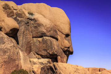 Face in the Rock, Joshua Tree National Park, California