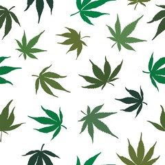 Seamless pattern of green cannabis leaves on a white background. Green hemp leaves.Vector illustration.Marijuana pattern