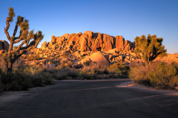 Sunset on the Jumbo Rocks of Joshua Tree National Park, California