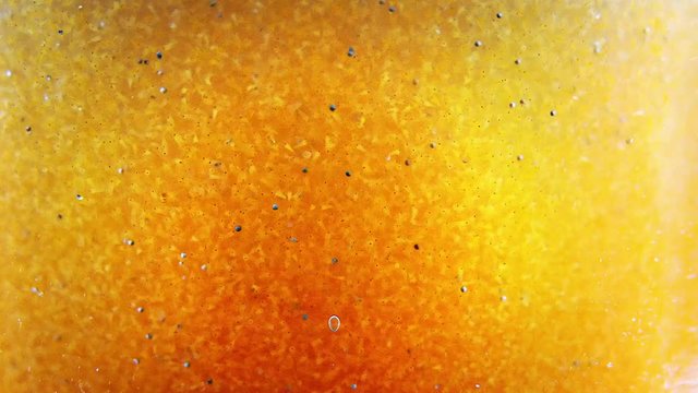 Colony of artemia salina larvae fastly moving in the yellow and orange liquid. The water is teem with little alive nauplius and their eggs. Theme of small creatures in our big world.