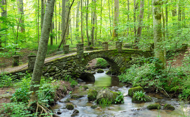 Panorama of an Old Moss Covered Stone Bridge in the Great Smoky Mountains National Park - 345811301