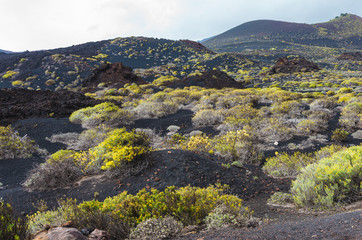Malpaís (lava fields) landscape at the foot of the Volcán de San Antonio volcano