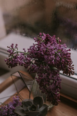 Lilac flowers and succulent on a wooden table