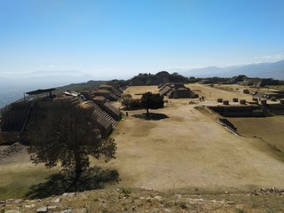 Monte Alb&aacute;n