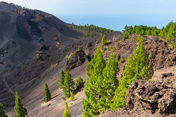 Duraznero Volcano on the Route of the Volcanoes on La Palma