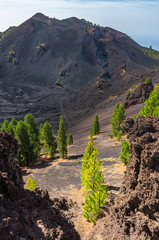 Duraznero Volcano on the Route of the Volcanoes on La Palma