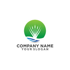 Cattail on white and blue background, Vector Illustration of wild lake, EPS10