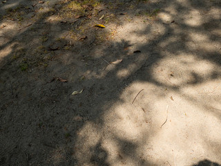 texture of the stone